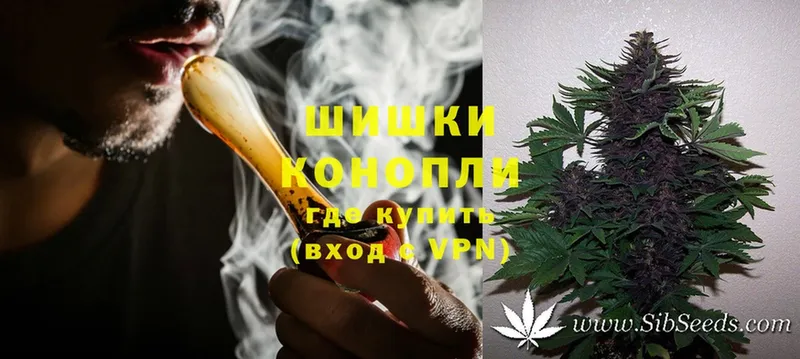 Бошки Шишки конопля  Рассказово 